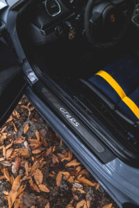 Custom stripe option